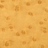 Birdseye Maple