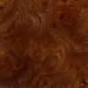 Carpathium Elm Burl