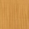 Figured Sycamore