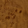 Mappa Burl